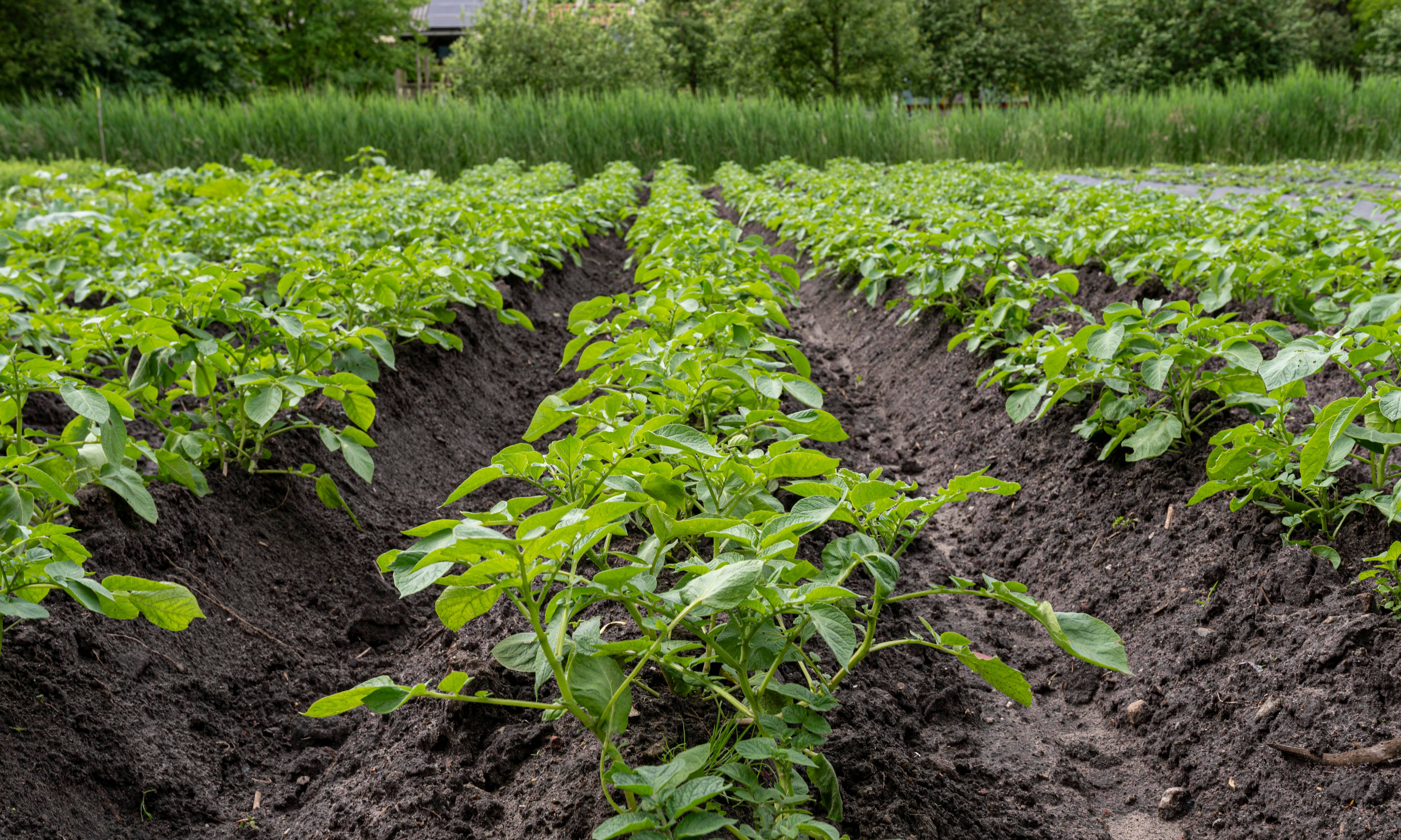 Lobbypunten Federatie van Agro-ecologische Boeren